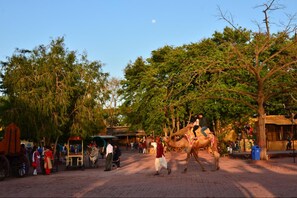 Hoạt động cho trẻ em