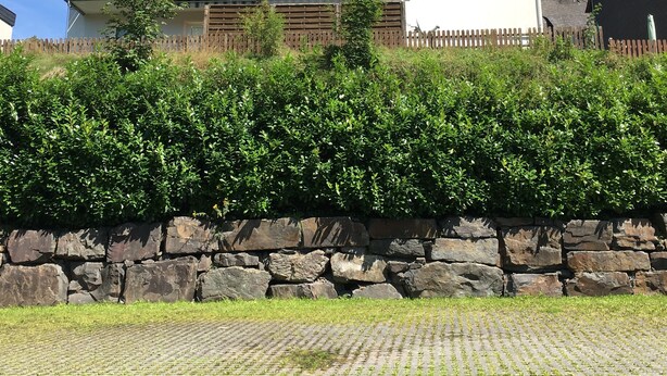 Un bâtiment à deux étages, doté d’un toit en tuiles, d’un mur de pierre au premier plan et d’une zone pavée au premier plan.