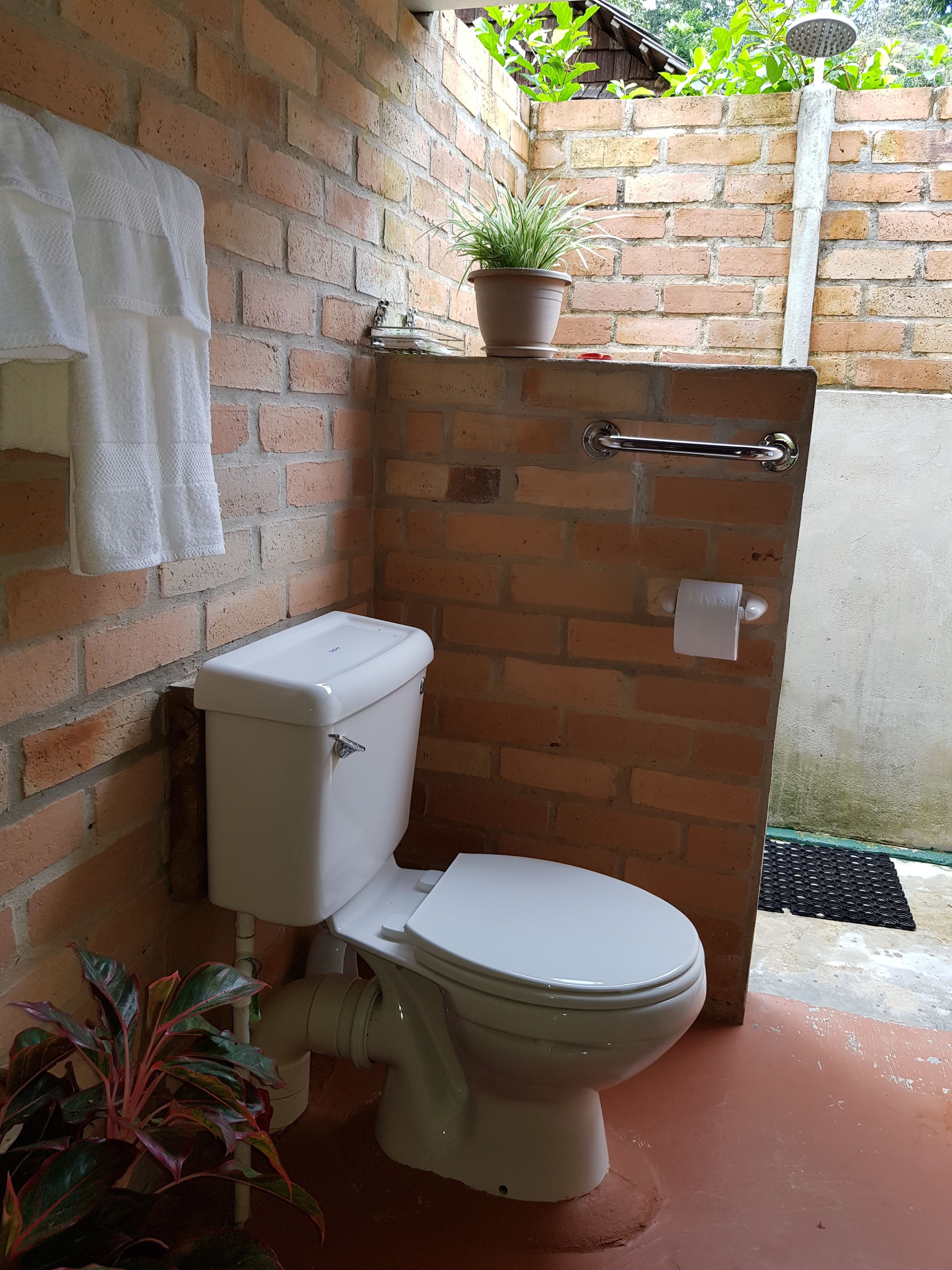 Un baño pequeño con inodoro, zona de ducha y una planta en maceta.