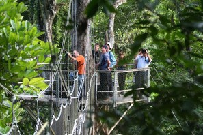Ecotours - Atta Rainforest Lodge (Mauisparu)