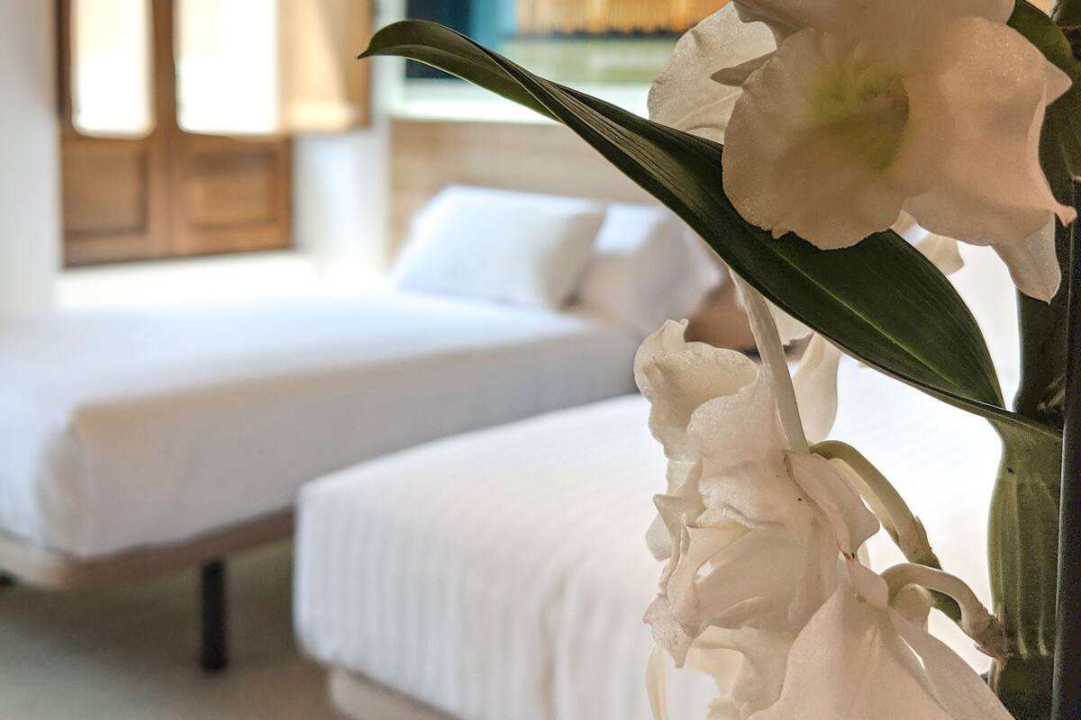 A hotel room with two beds, a large window, and a white orchid in the foreground.