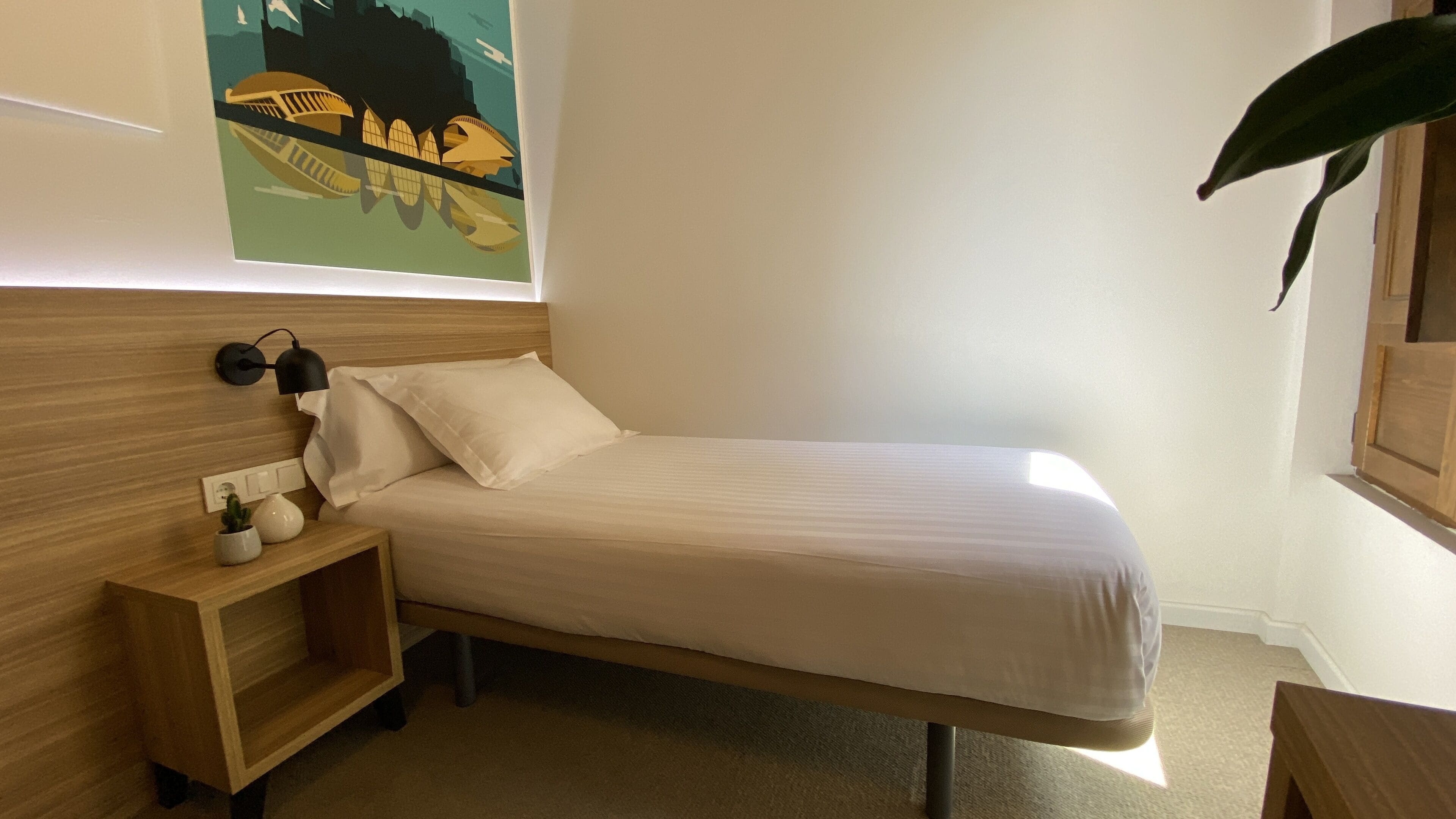 A single bed with a wooden headboard, a bedside table with a lamp, and a small plant.