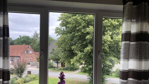 A window with a view of a residential street, a potted plant, and curtains. - Hostel Wendt (Fintel)