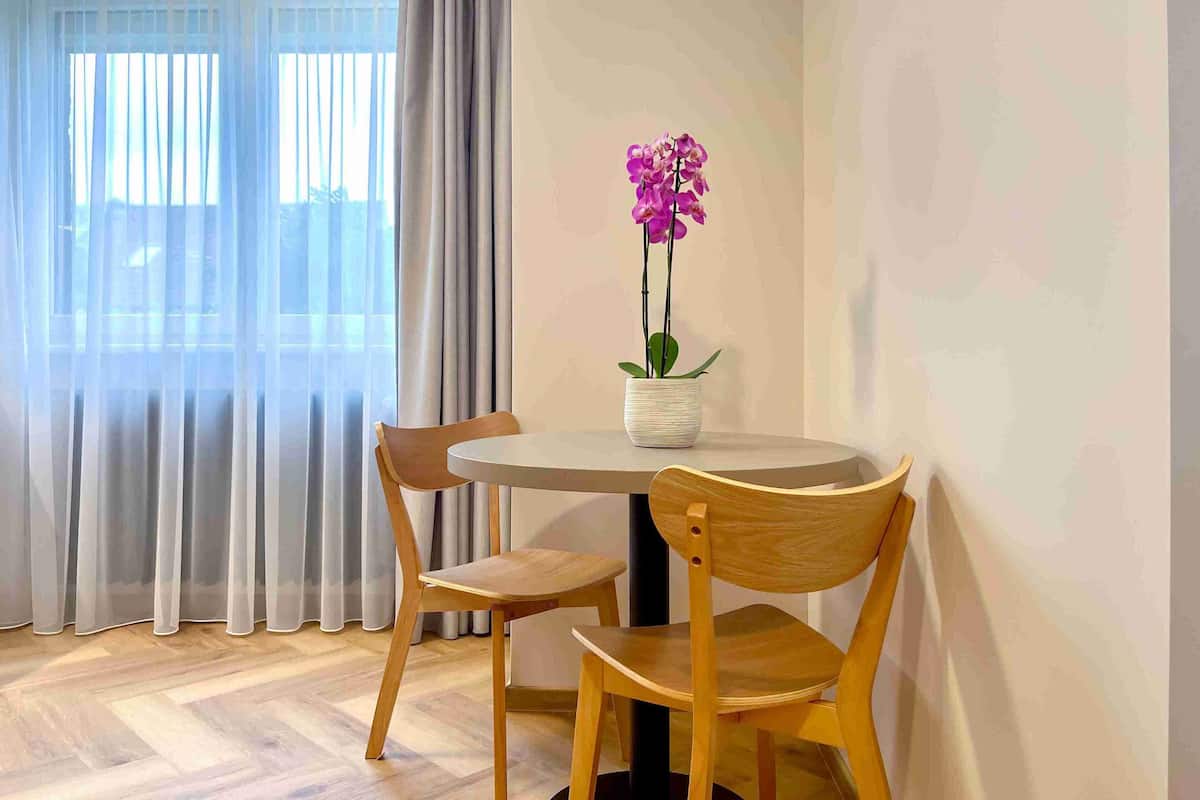 Apartamento Deluxe, 1 cama de matrimonio grande, no fumadores, baño privado | 1 dormitorio, espacio para trabajar con un portátil, cortinas opacas