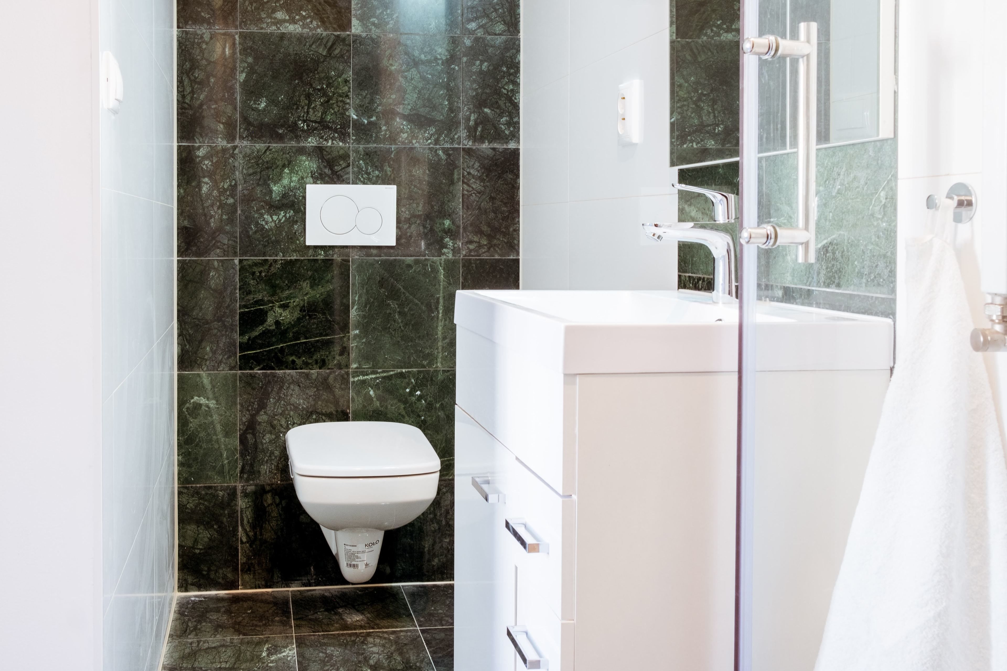 A modern bathroom with a toilet, a sink, and a glass shower enclosure.