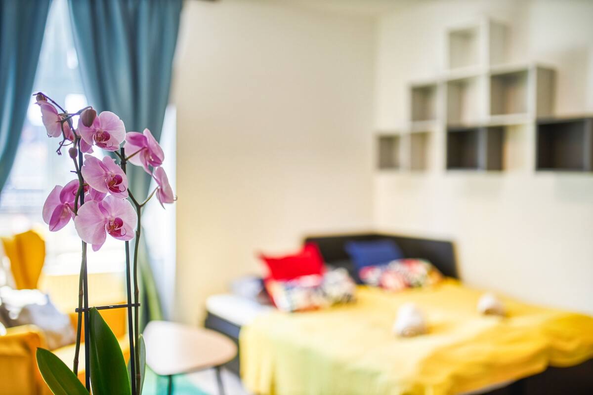 城市开间 (2) | 笔记本电脑工作区、遮光窗帘、免费 WiFi、床单