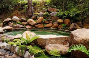 Seasonal outdoor pool - Ruca Lodge (Navidad)