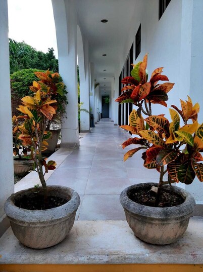Departamentos X Kanlol