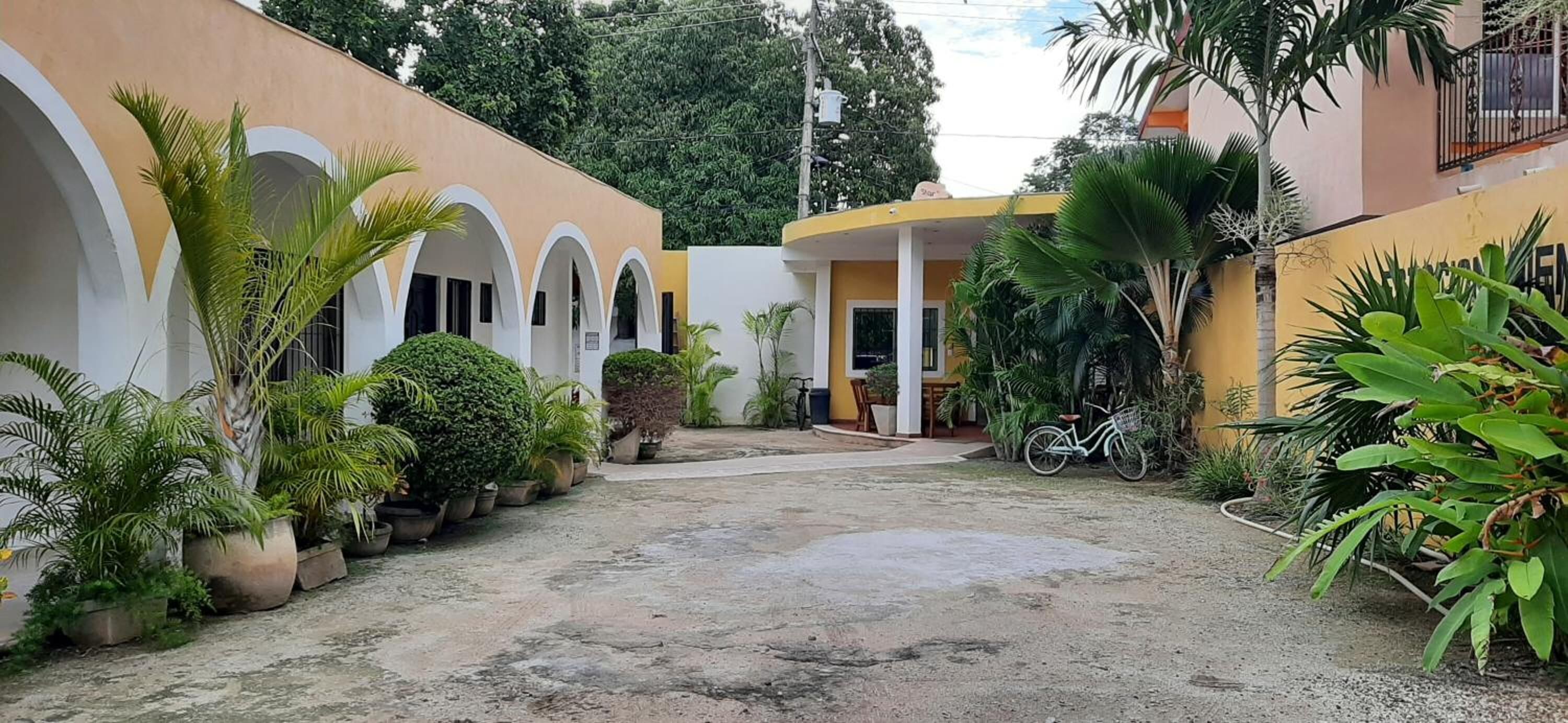 Un patio con macetas, una bicicleta y un edificio con ventanas de arco.