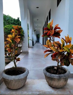 Exterior detail - Departamentos X Kanlol (Izamal)