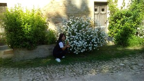 Vue sur le jardin