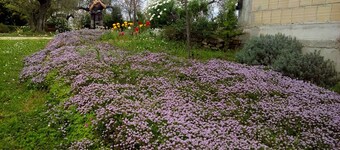 Agriturismo Via del Campo