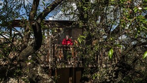 A person in a red jacket sitting on a wooden bench surrounded by dense foliage and a stone structure.
