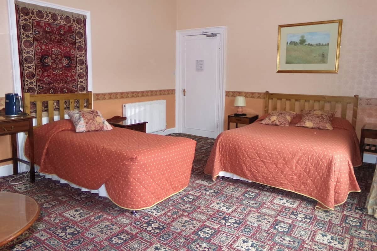 Una habitación con dos camas, un radiador, una puerta, una mesita pequeña y una alfombra estampada.