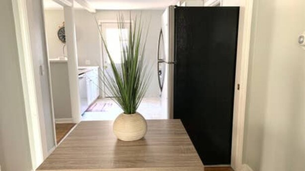 Een eetruimte met een houten tafel, een potplant en een zwarte deur.