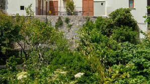 Exterior - Casa d'Amare (Sorrento)