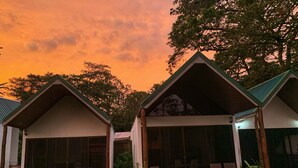 Un bâtiment de style bungalow, doté d’un toit en pente et de grandes fenêtres, entouré d’une végétation luxuriante.