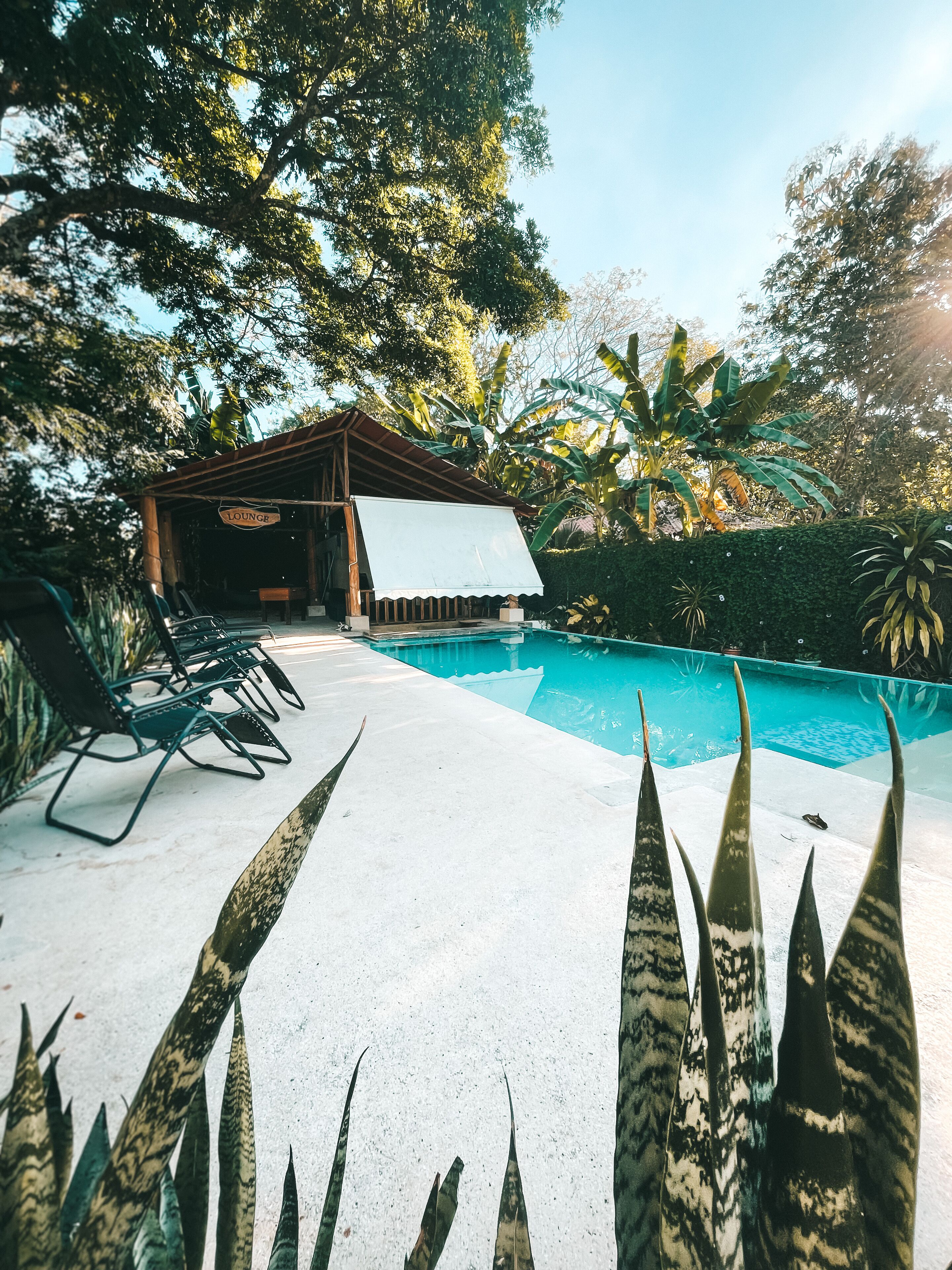 室外游泳 池，免费小屋，日光浴躺椅