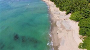 Une vue aérienne d’une plage aux eaux turquoise et limpides, bordée d’une rive sablonneuse et d’une végétation verdoyante et luxuriante.
