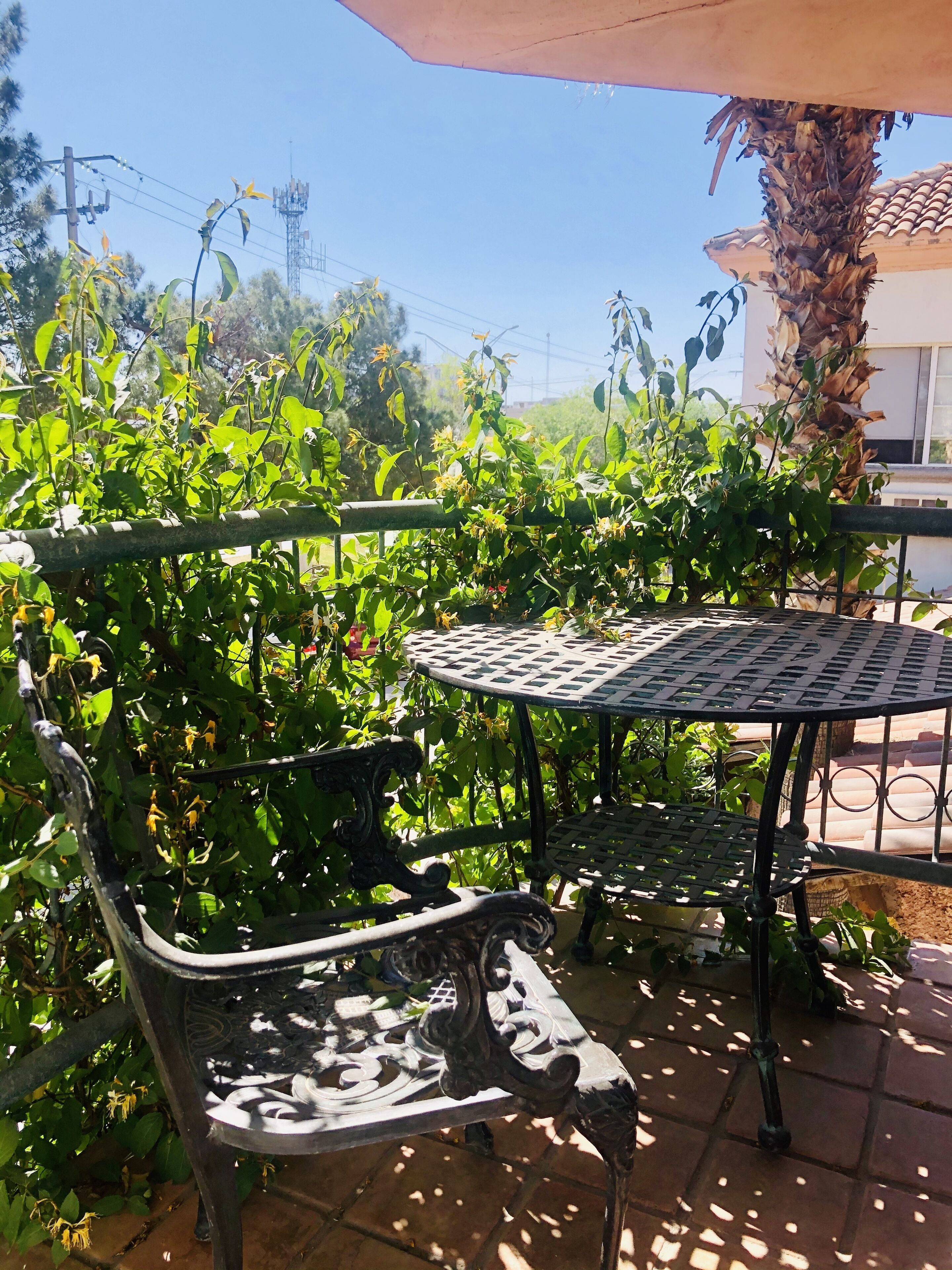 family suite | courtyard view