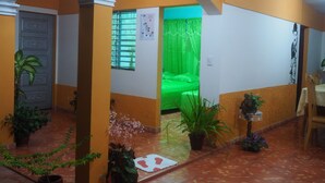 Un pasillo con una cama al fondo, una puerta y varias plantas en macetas.