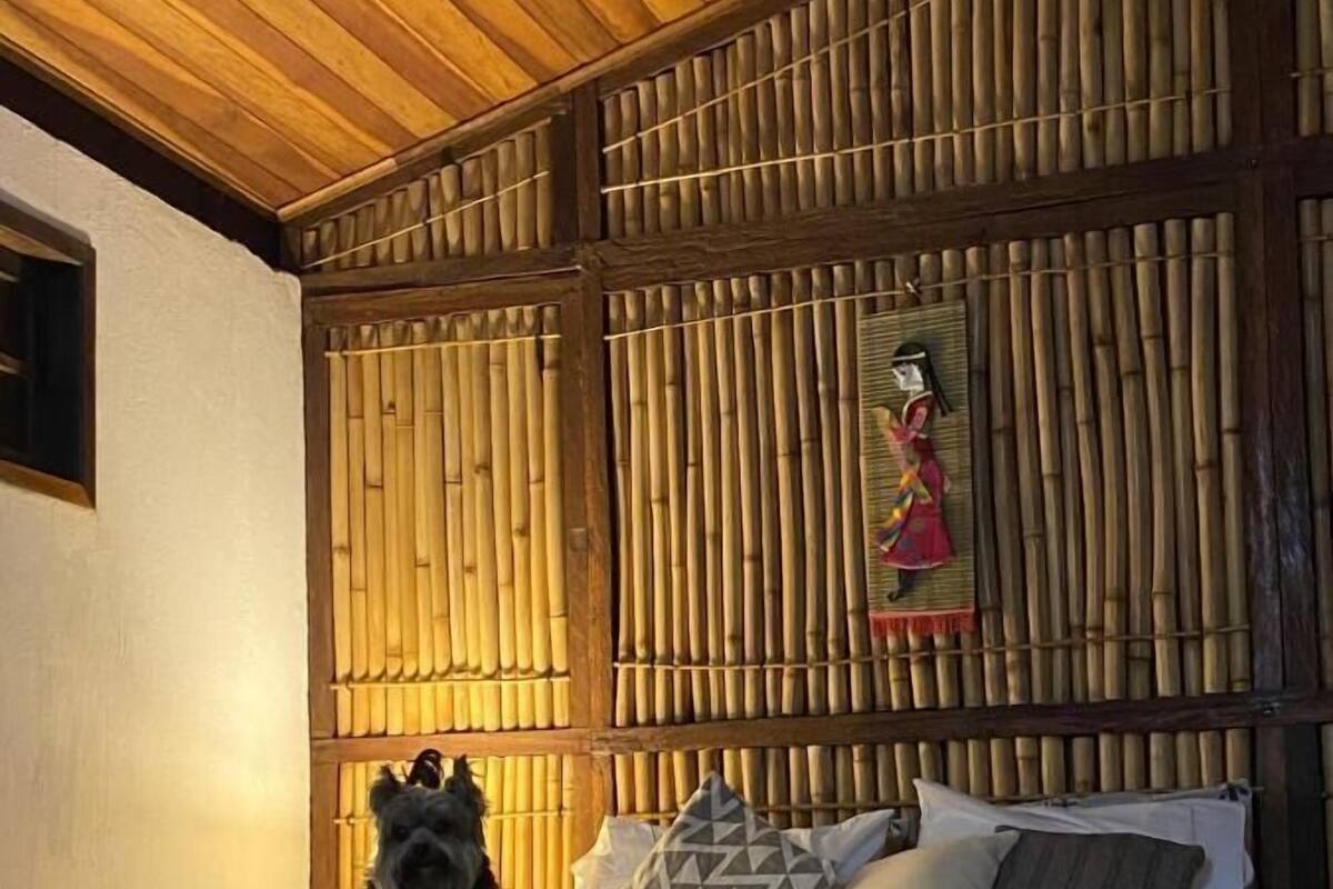 Un lit avec une couvre-lit blanche et des oreillers, une tête de lit en bois avec des lattes verticales, et un petit chien assis sur le lit.