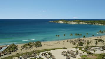 A beach resort with palm trees, sun loungers, and a view of the ocean.