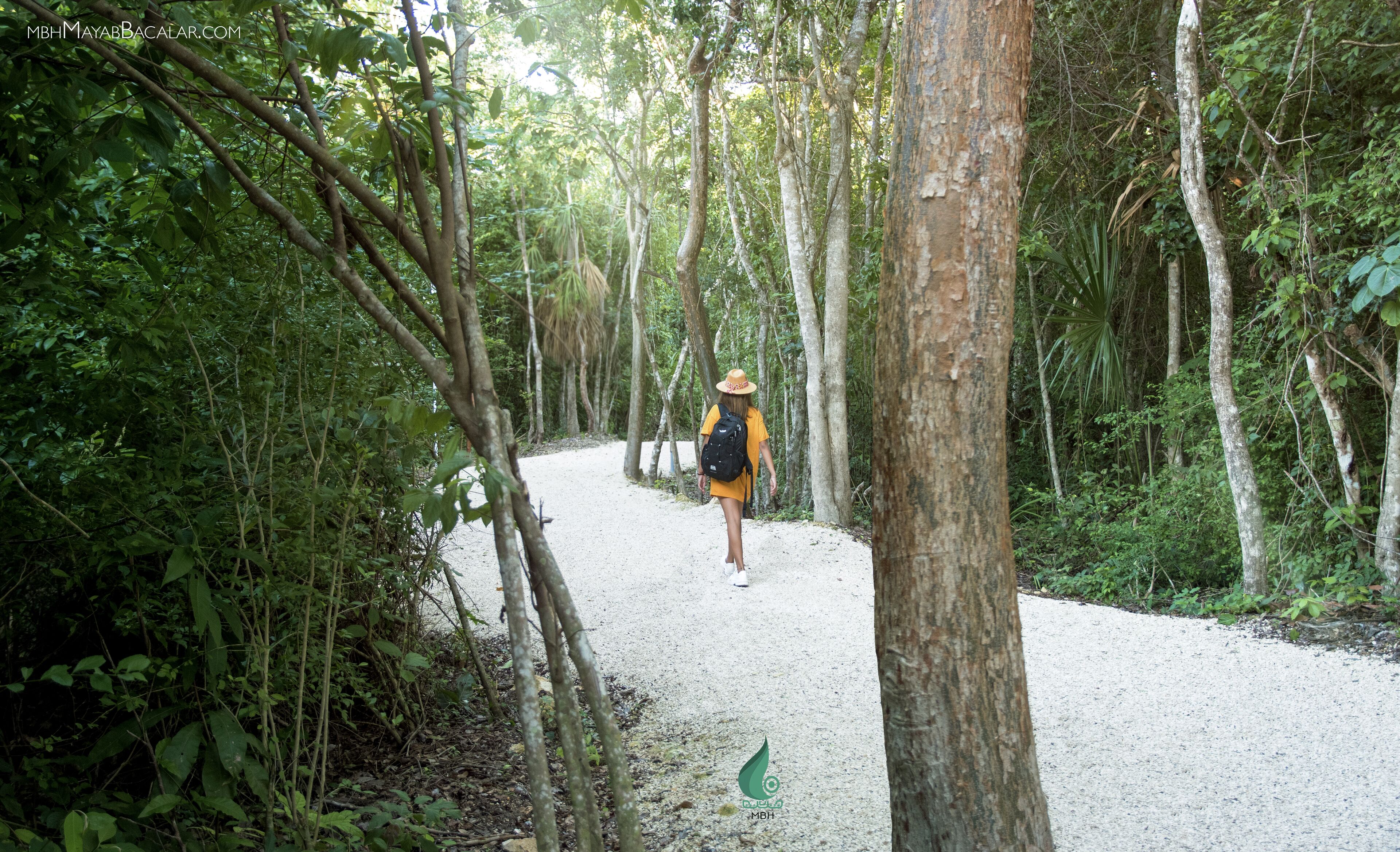 Una persona caminando por un sendero de grava rodeado de árboles.