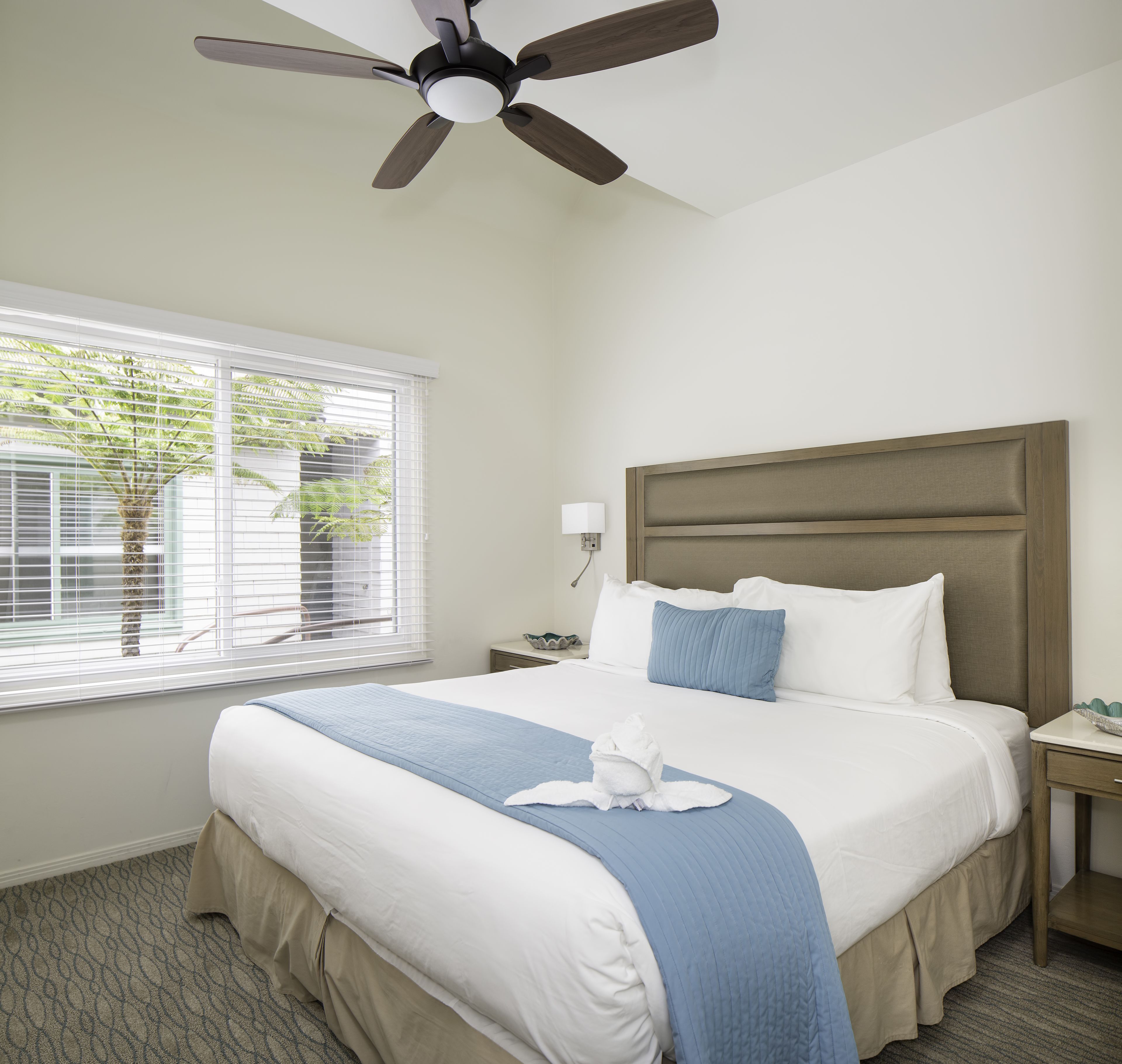 A hotel room with a bed, a nightstand, a lamp, and a ceiling fan.