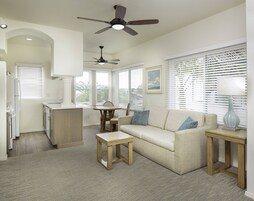 Estudio | Zona de estar | Una televisión de pantalla plana, un reproductor de DVD