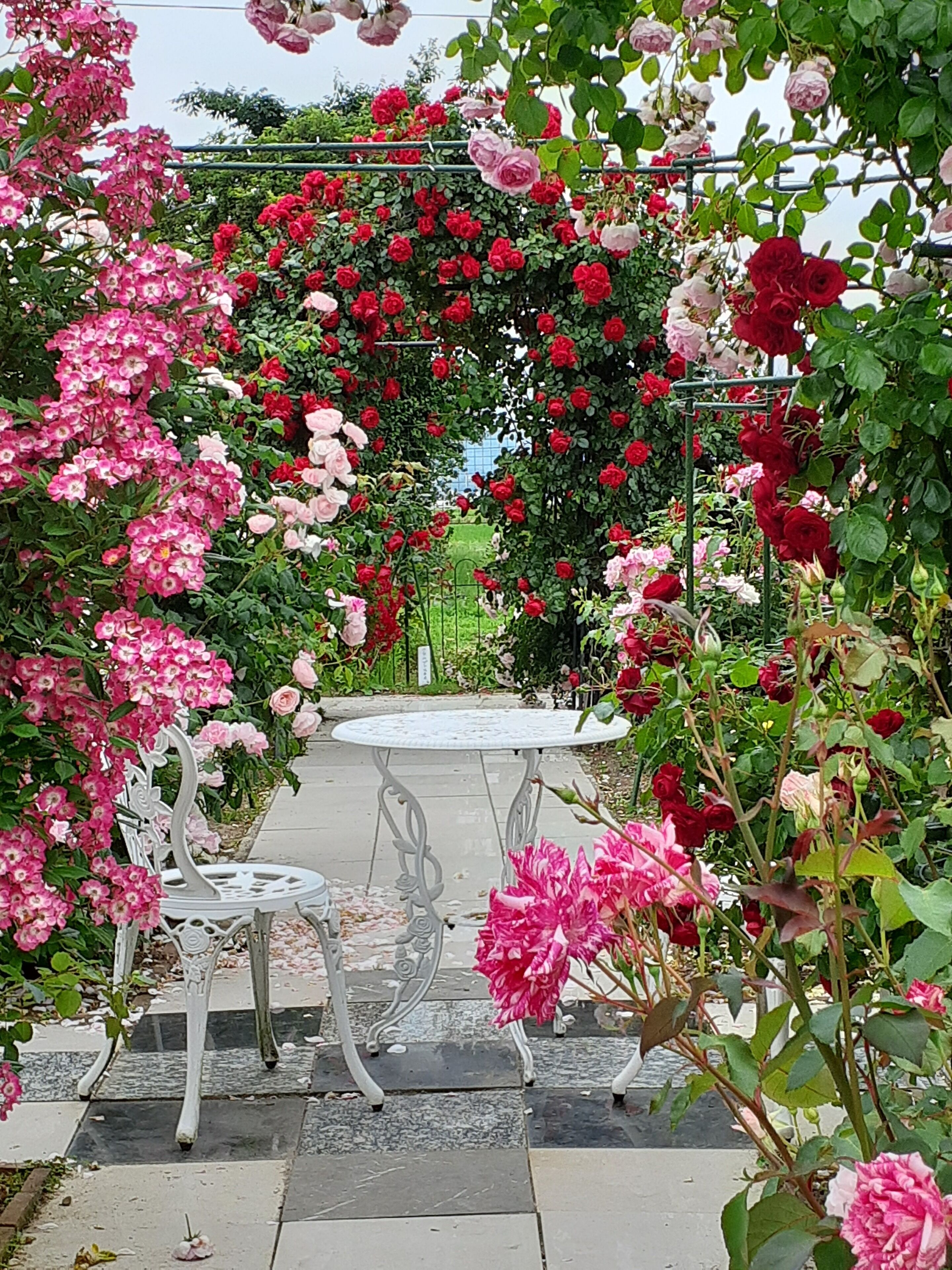 Jardín