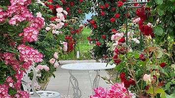 Jardín