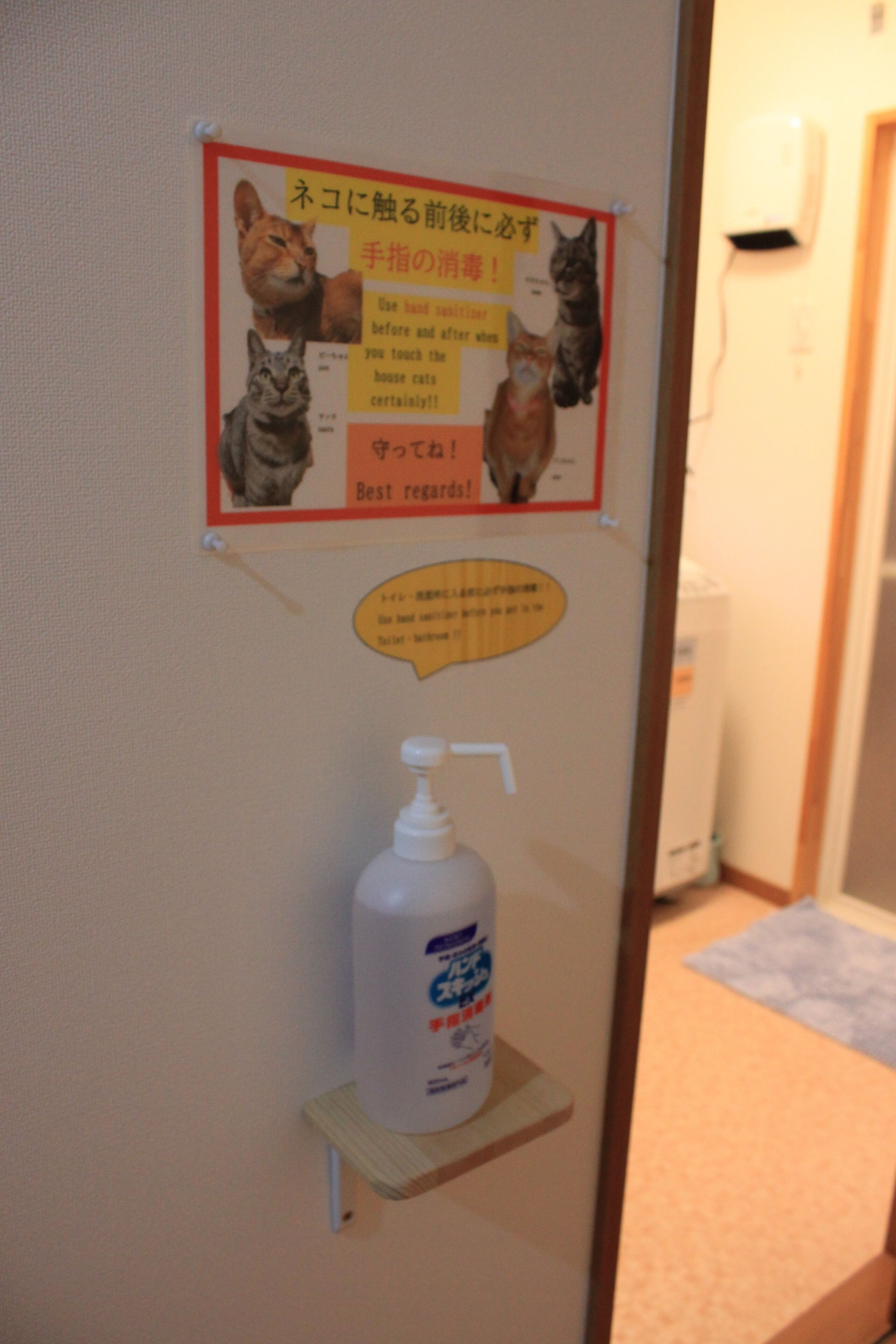 Um quadro de avisos com um letreiro temático de gato e um dispensador de álcool em gel.