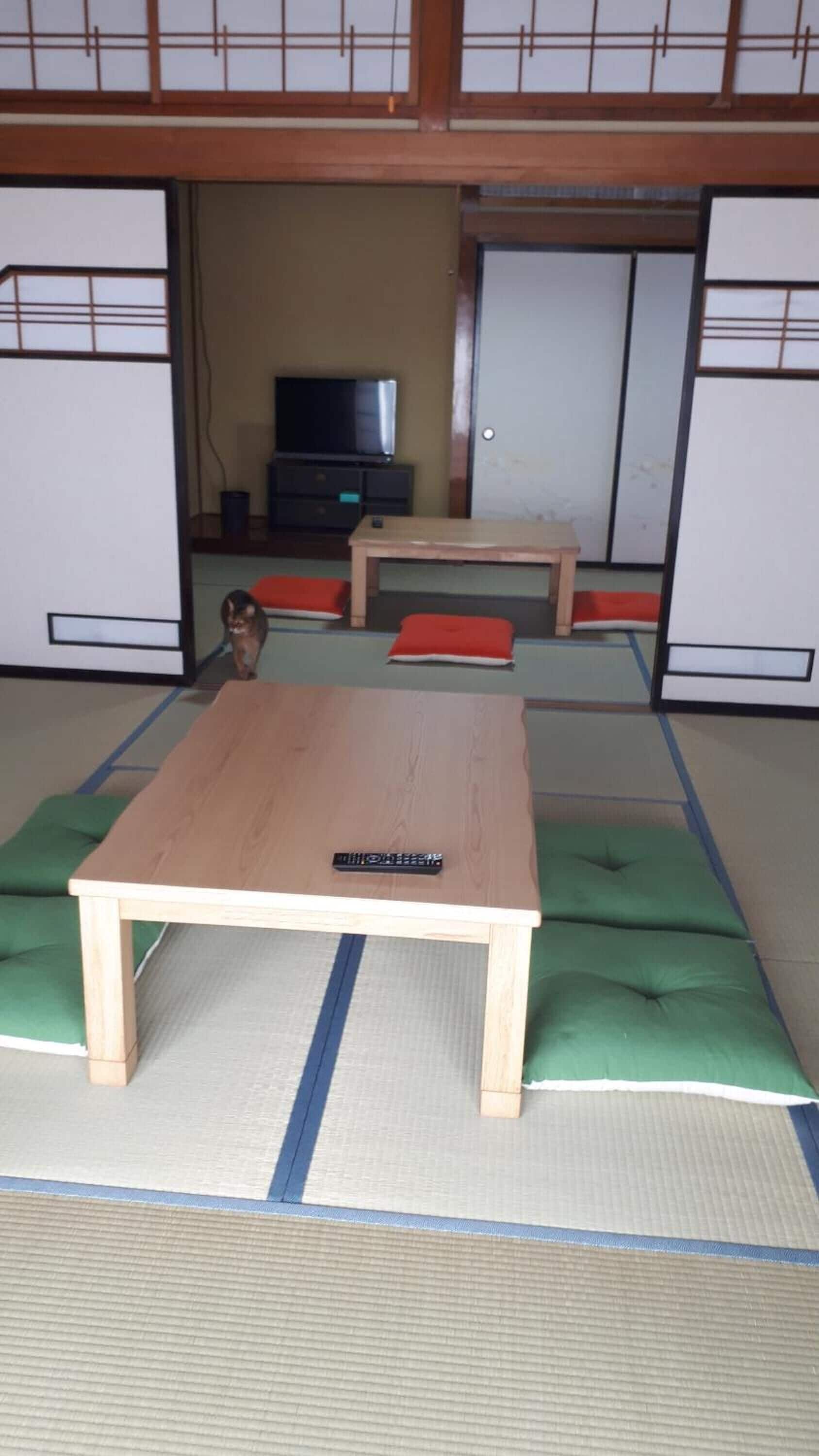 Ein Zimmer mit Tatami-Matten, einem Holztisch, grünen Kissen und einem Fernseher im Hintergrund.