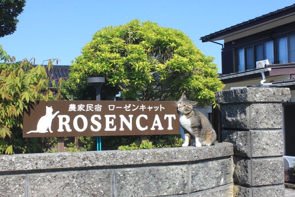 A stone wall with a sign featuring a cat and the word "ROSENCAT".