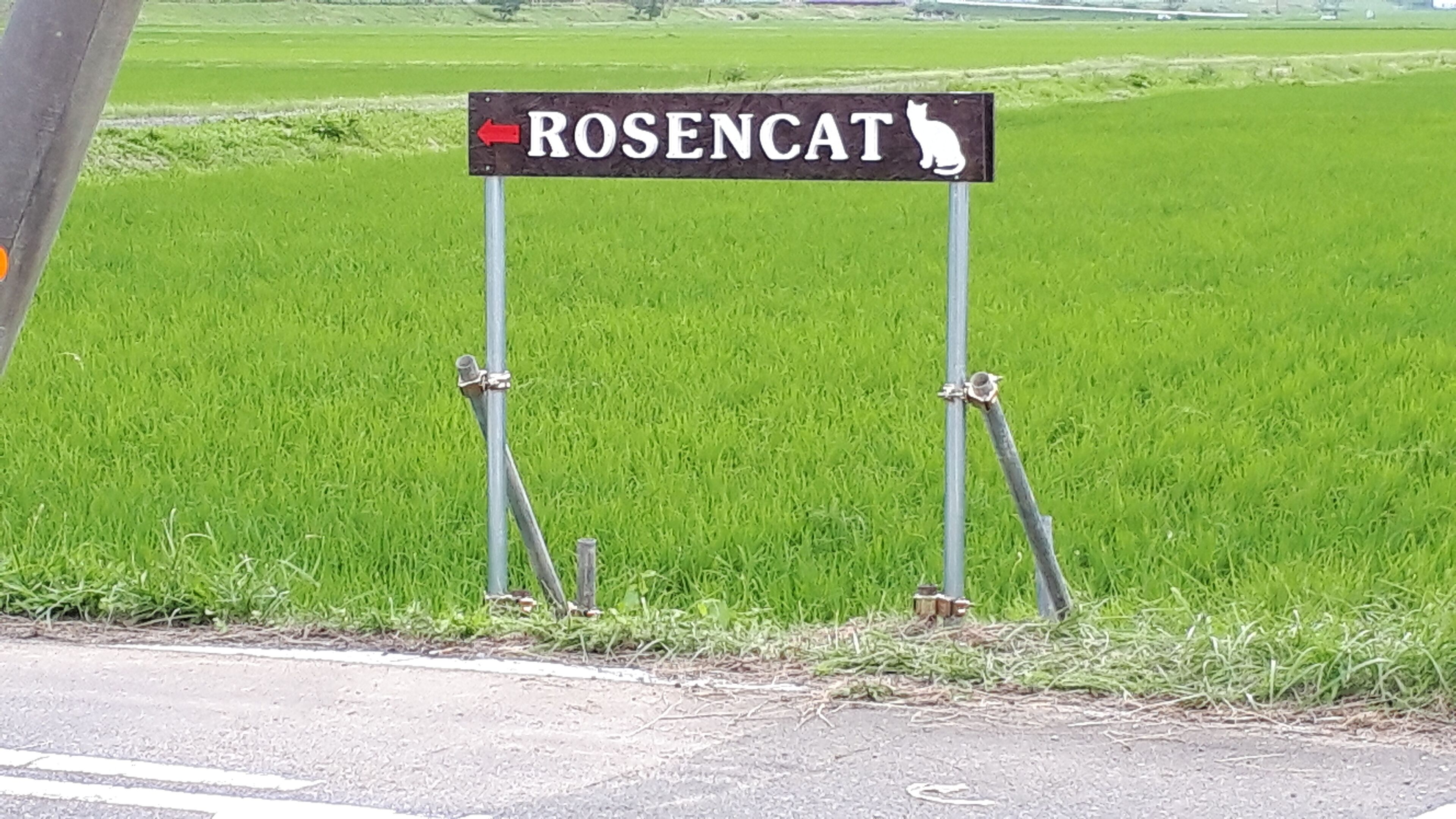 住宿地圖