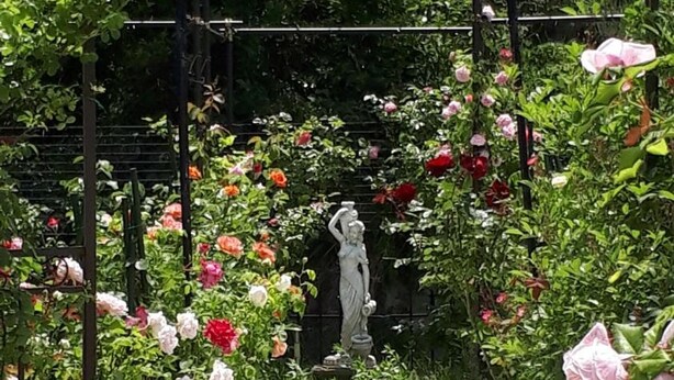 A garden with a statue, a pergola, and white metal tables. - ROSENCAT (Sado)