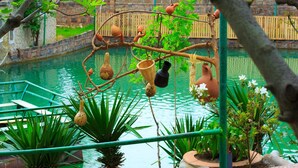 A tranquil indoor pool area with a wooden bridge, surrounded by lush greenery and a brick wall in the background. - Amiran`s Lake (Tbilisi)