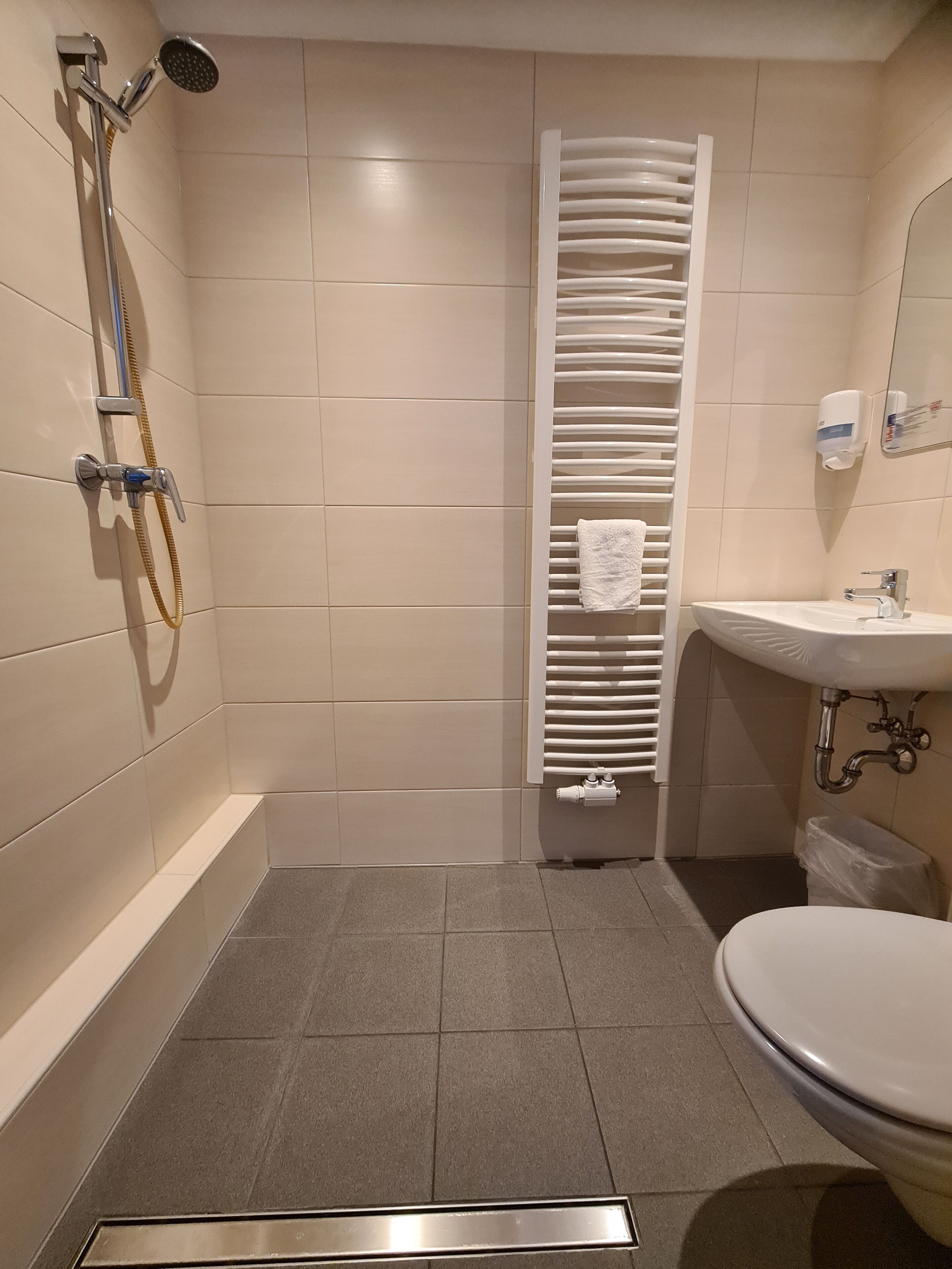 Un baño con ducha, lavabo e inodoro.