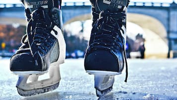 Un par de patines de hielo con señales de uso y un puente al fondo.
