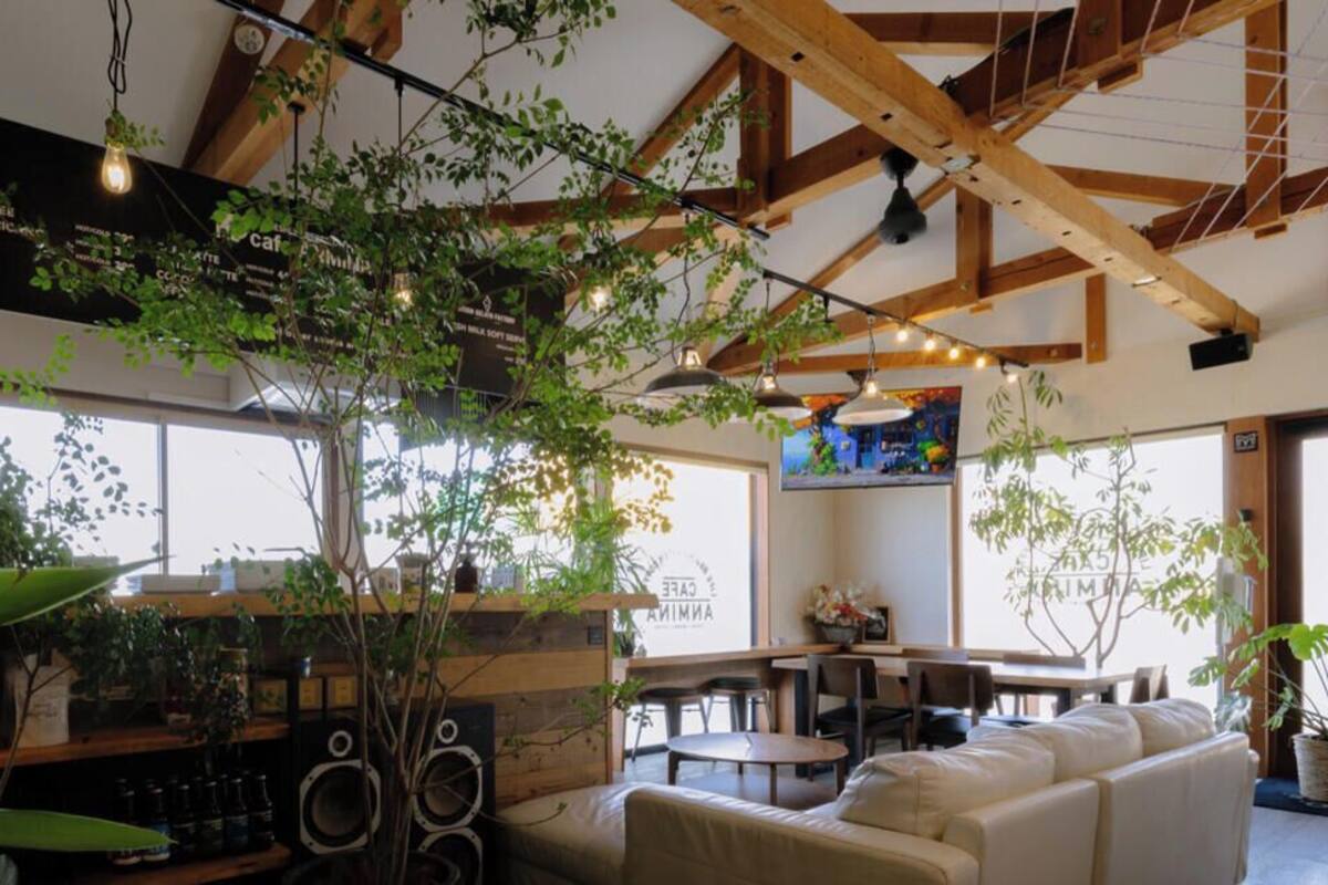 A cozy cafe with wooden beams, a bar area, and indoor plants.