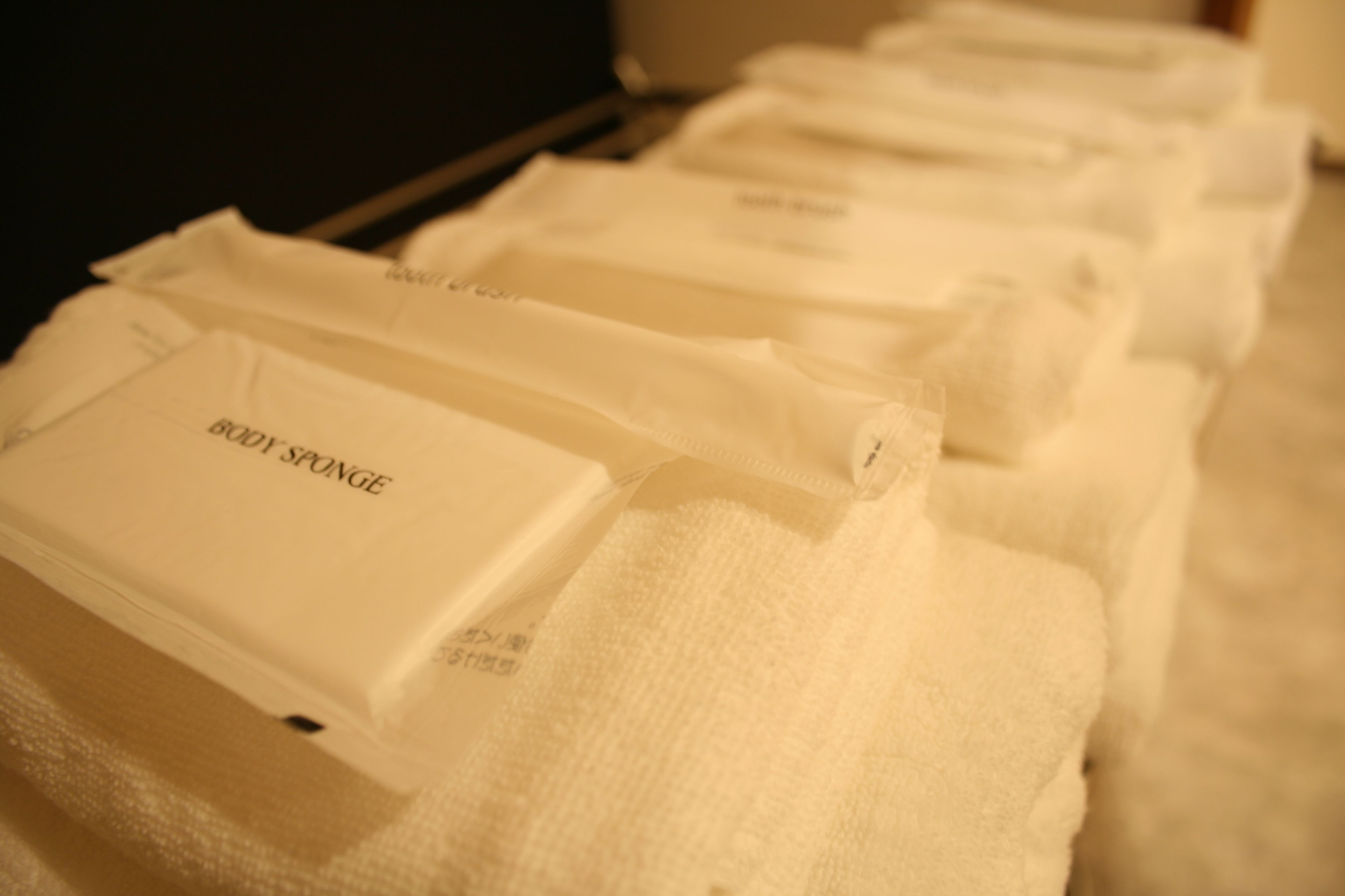 shower, free toiletries, hair dryer, slippers