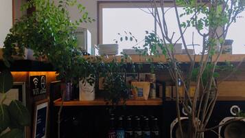 A cozy bar area with a menu board, potted plants, and a variety of bottles on shelves.