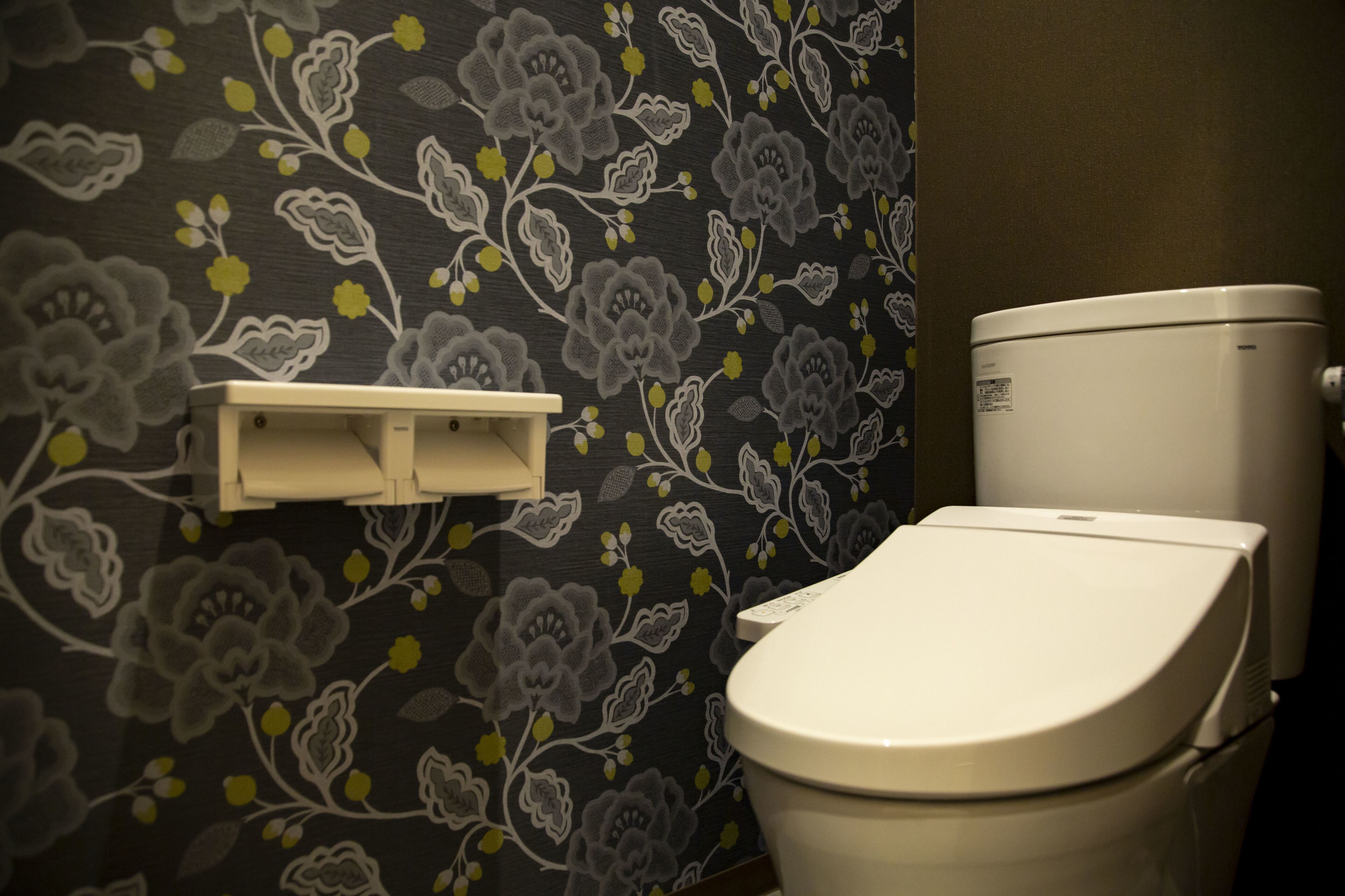 shower, free toiletries, hair dryer, slippers