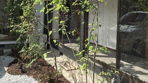 Un edificio moderno con fachada de vidrio, rodeado de vegetación y un camino de grava.