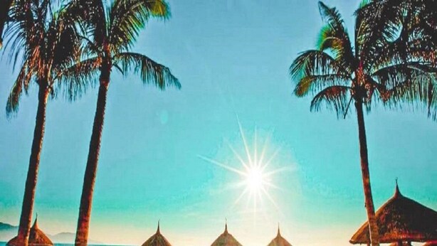 A beach with palm trees, sun umbrellas, and lounge chairs. - My Khe 2 Da Nang Seafront Hotel (Da Nang)
