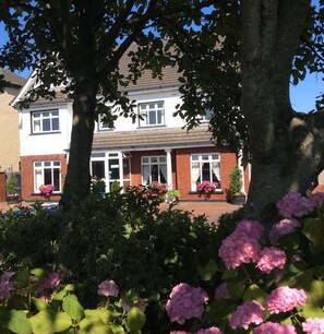 Detalle del exterior