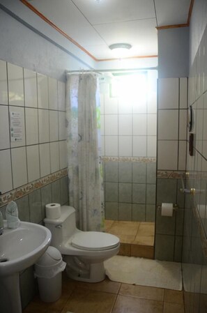Standard Room | Bathroom | Shower, free toiletries, hair dryer, towels