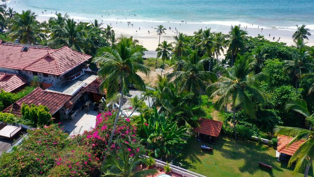Un hotel frente al mar con vista a la playa, palmeras y piscina.