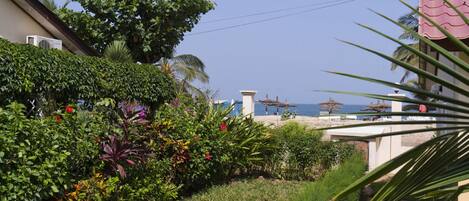 Garden view
